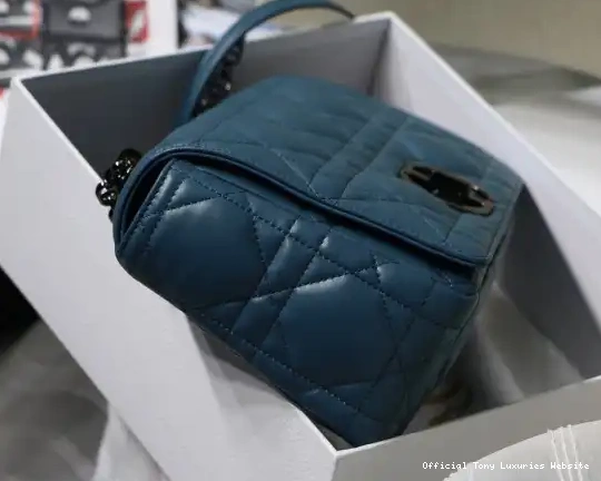 Tony Luxuries CARO diro LARGE BAG 0610